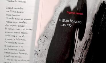El gran boscoso… es eso