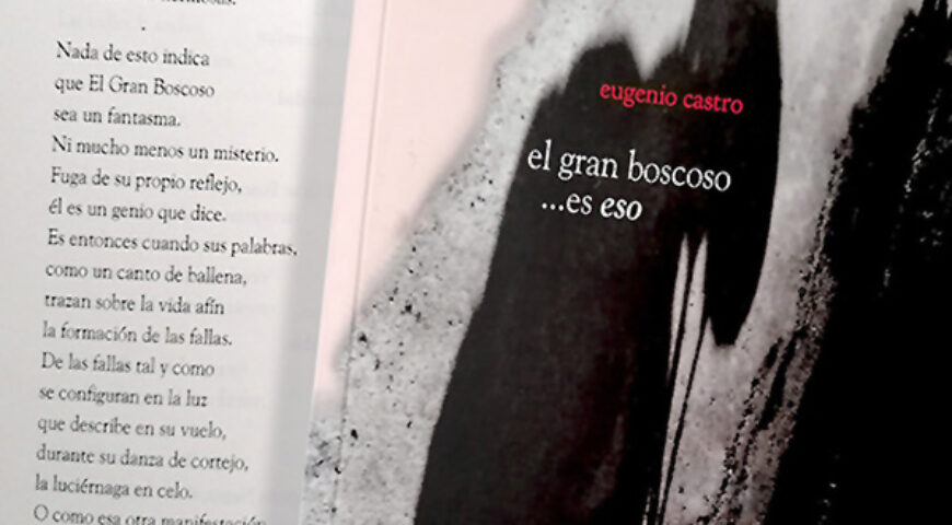 El gran boscoso… es eso