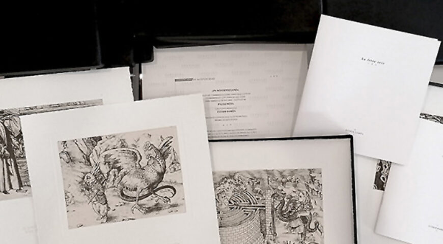 In Nonsenseland / Edición coleccionistas