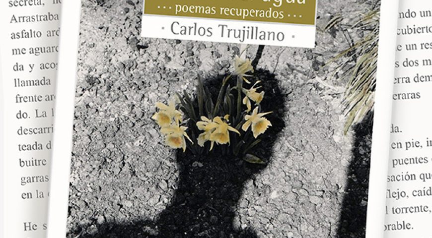 La llave del agua